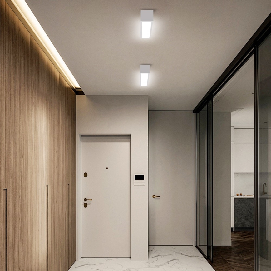 Immax NEO 07257L - Plafonnier à intensité variable NEO LITE LUNGO LED/20W/230V 3000-6000K Wi-Fi Tuya blanc + Télécommande