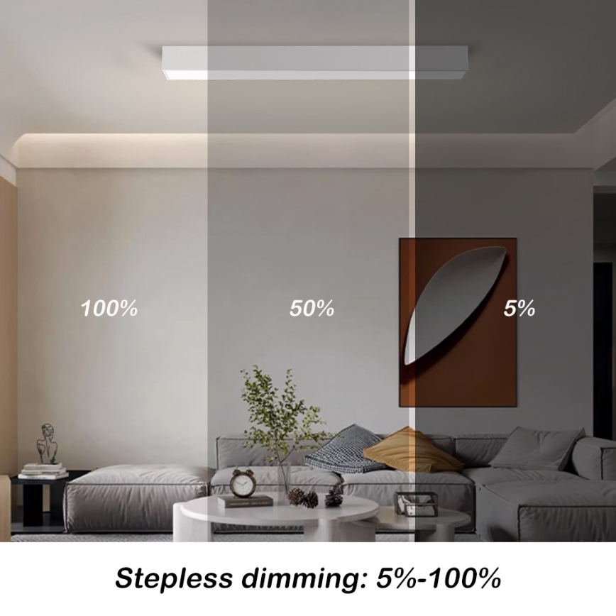 Immax NEO 07258L - Plafonnier à intensité variable NEO LITE LUNGO LED/29W/230V 3000-6000K Wi-Fi Tuya blanc + télécommande