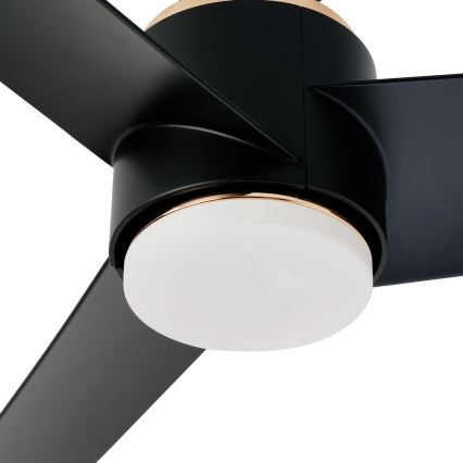 Immax NEO 07280L - Ventilatore da soffitto dimmerabile a LED BEAUTY LED/18W/230V Wi-Fi Tuya nero + telecomando