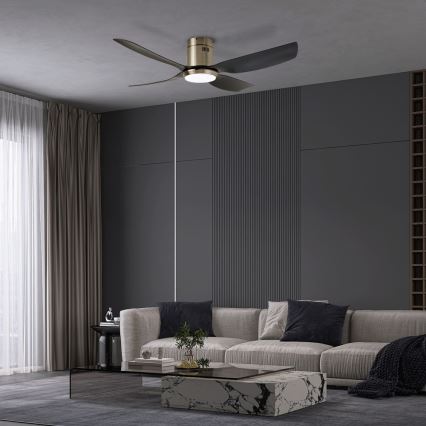 Immax NEO 07282L - LED+CCT dimmerabile ventilatore da soffitto PURE LED/24W/230V 3000/4000/6000K Wi-Fi Tuya + telecomando