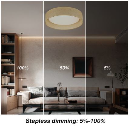 Immax NEO 07289L - Plafonnier dimmable LED+CCT LONA LED/36W/230V 3000-6000K Ø 45,5 cm + télécommande