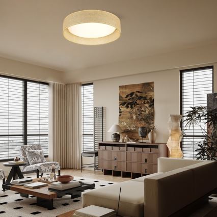 Immax NEO 07289L - Plafonnier dimmable LED+CCT LONA LED/36W/230V 3000-6000K Ø 45,5 cm + télécommande