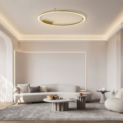 Immax NEO 07290-120G - LED+CCT Dimmbare Deckenleuchte FINO, 55 W, 230 V, 2700–6500 K, Tuya, Ø 120 cm + Fernbedienung