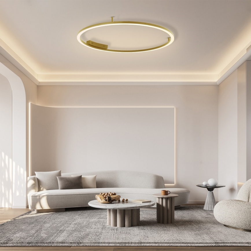 Immax NEO 07290-120G - LED+CCT Dimmbare Deckenleuchte FINO, 55 W, 230 V, 2700–6500 K, Tuya, Ø 120 cm + Fernbedienung