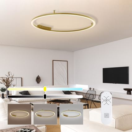 Immax NEO 07290-120G - LED+CCT Dimmbare Deckenleuchte FINO, 55 W, 230 V, 2700–6500 K, Tuya, Ø 120 cm + Fernbedienung