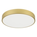 Immax NEO 07292L - Plafoniera LED dimmerabile NEO LITE SEMPLICI LED/36W/230V 3000–6000K Ø 40 cm Wi‑Fi Tuya dorata + telecomando