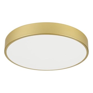Immax NEO 07292L - Plafoniera LED dimmerabile NEO LITE SEMPLICI LED/36W/230V 3000–6000K Ø 40 cm Wi‑Fi Tuya dorata + telecomando