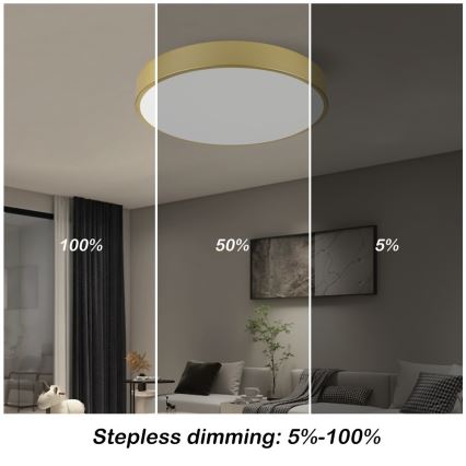 Immax NEO 07292L - Plafonnier LED dimmable NEO LITE SEMPLICI LED/36W/230V 3000–6000K Ø 40 cm Wi‑Fi Tuya, finition dorée + télécommande