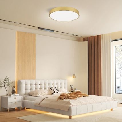 Immax NEO 07293L - Plafonnier LED dimmable NEO LITE SEMPLICI LED/60W/230V 3000–6000K Ø 60 cm Wi‑Fi Tuya doré + télécommande