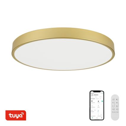 Immax NEO 07311L - Lampada da soffitto dimmerabile LED SEMPLICI LED/96W/230V Ø 80 cm Wi-Fi Tuya dorata + telecomando