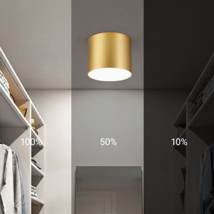 Immax NEO 07317L - dimmbare LED-Deckenleuchte RONDATE LED/18 W/230 V Ø 11,5 cm Wi-Fi Tuya goldfarben