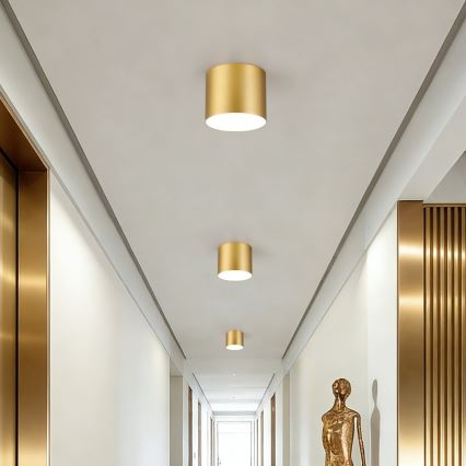 Immax NEO 07317L - dimmbare LED-Deckenleuchte RONDATE LED/18 W/230 V Ø 11,5 cm Wi-Fi Tuya goldfarben