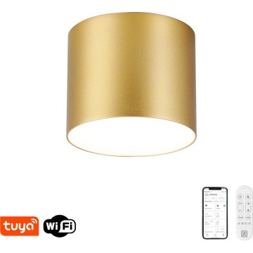 Immax NEO 07317L - Plafoniera LED dimmerabile RONDATE LED/18W/230V Ø 11,5 cm Wi-Fi Tuya dorata