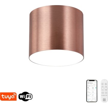Immax NEO 07319L - Plafoniera LED dimmerabile RONDATE LED/18W/230V diam. 11,5 cm Wi-Fi Tuya oro rosa