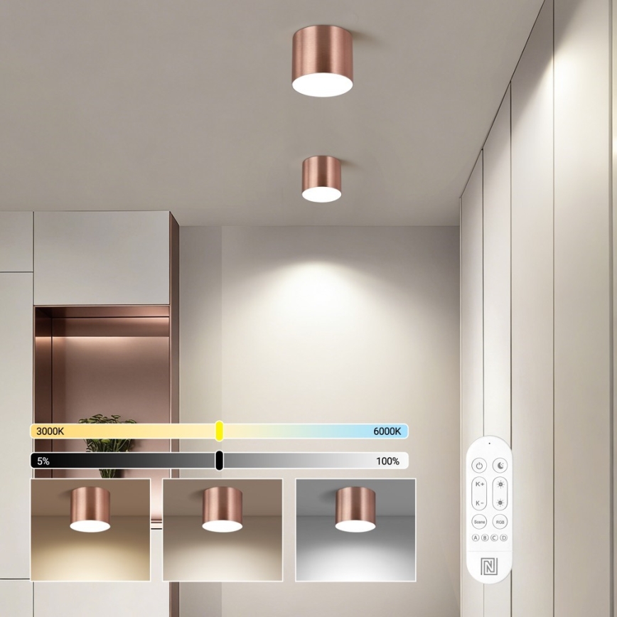 Immax NEO 07319L - Plafonnier LED dimmable RONDATE LED/18W/230V Ø 11,5 cm Wi-Fi Tuya or rose