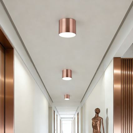 Immax NEO 07319L - Plafonnier LED dimmable RONDATE LED/18W/230V Ø 11,5 cm Wi-Fi Tuya or rose