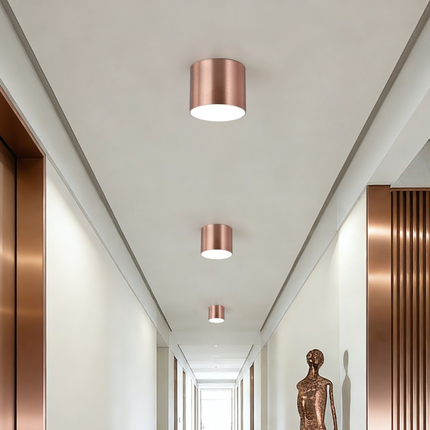 Immax NEO 07319L - Plafonnier LED dimmable RONDATE LED/18W/230V Ø 11,5 cm Wi-Fi Tuya or rose