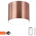 Immax NEO 07320L - dimmbare LED-Deckenleuchte RONDATE LED/32W/230V Ø 16,5 cm Wi-Fi Tuya Roségold