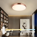 Immax NEO 07322L - LED-dimmbare Deckenleuchte NEO LITE SEMPLICI LED/60W/230V, Ø 60 cm, kupferfarben + Fernbedienung