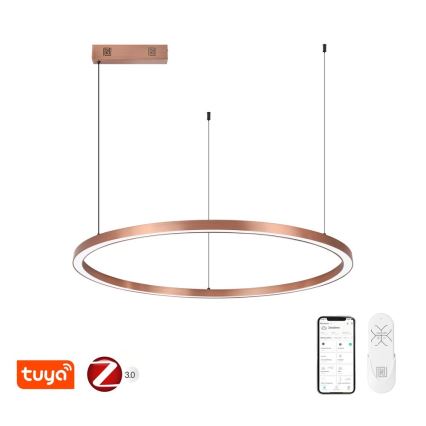 Immax NEO 07327L - dimmbare LED-Pendelleuchte FINO an Kabel LED/55W/230V 80 cm roségold Tuya + Fernbedienung