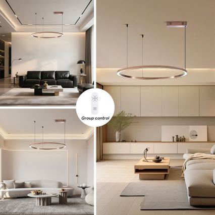 Immax NEO 07327L - dimmbare LED-Pendelleuchte FINO an Kabel LED/55W/230V 80 cm roségold Tuya + Fernbedienung