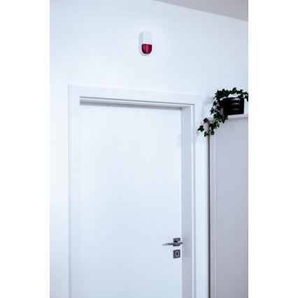 Immax NEO 07504L - Sirena smart SMART 5V/95dB ZigBee 3.0 IP65 Tuya