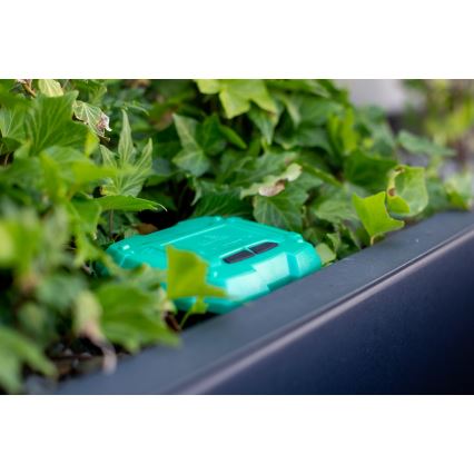 Immax NEO 07509L - Bodenfeuchtigkeits- und Temperatursensor NEO LITE 3xAAA IP65