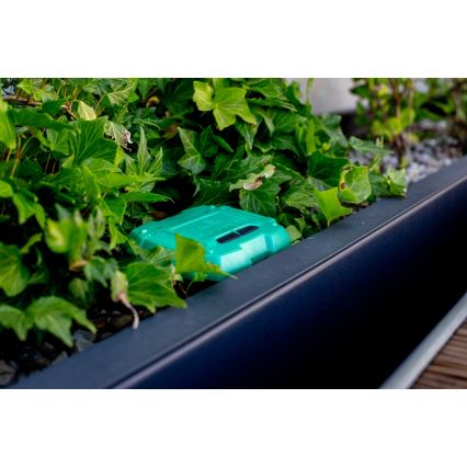 Immax NEO 07509L - Capteur d'humidité et de température du sol NEO LITE Wi-Fi 3xAAA IP65