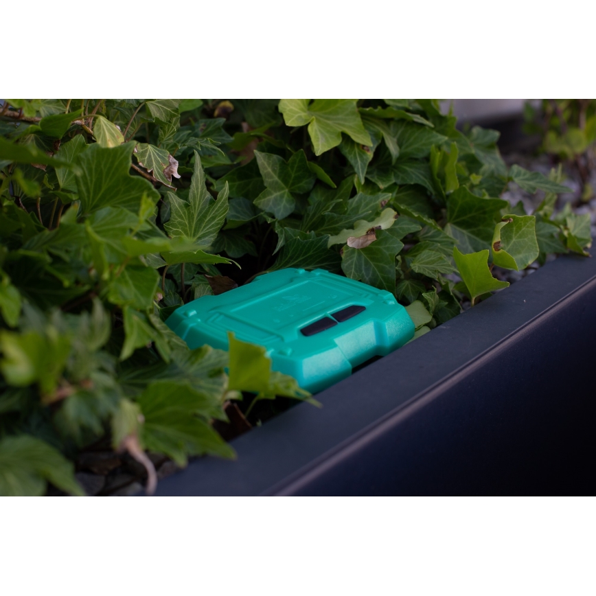 Immax NEO 07509L - Sensore di umidità e temperatura del suolo NEO LITE Wi-Fi 3xAAA IP65
