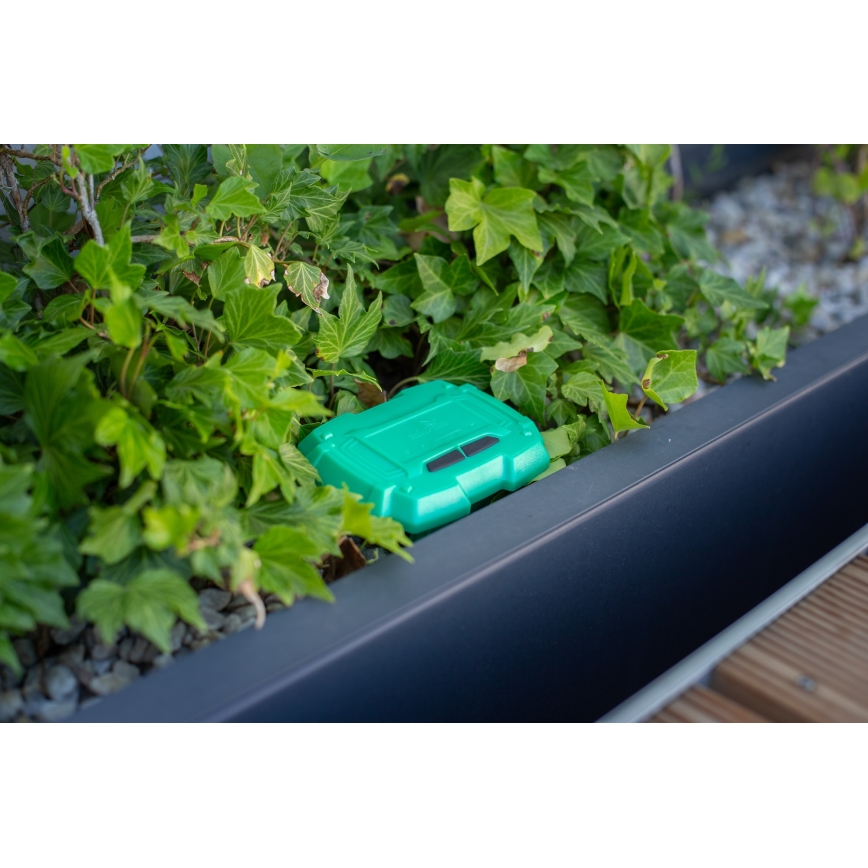 Immax NEO 07509L - Sensore di umidità e temperatura del suolo NEO LITE Wi-Fi 3xAAA IP65