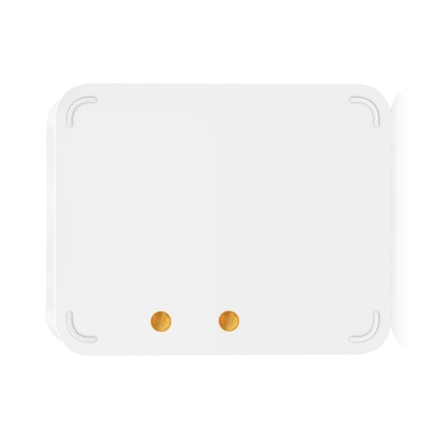 Immax NEO 07519L - Intelligenter Wasserlecksensor 2xAAA Tuya