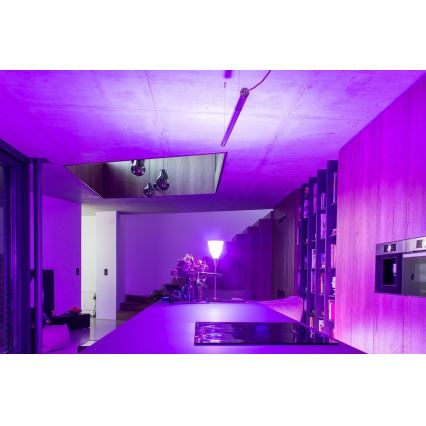 Immax NEO 07725L - LED RGB+CCT Striscia dimmerabile NEO LITE LED/24W/230V 5 m IP67 Wi-Fi Tuya