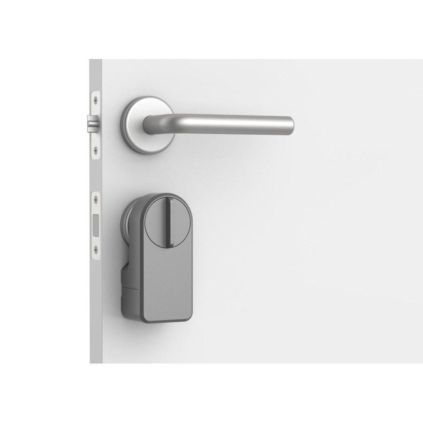 Immax NEO 07815L - Serratura intelligente per porta con tastiera 4xAA + 2xAA Tuya