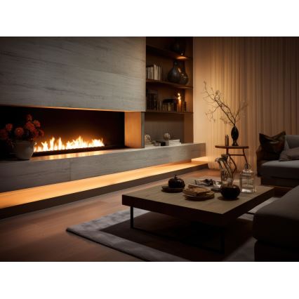 InFire - Cheminée encastrée BIO 7,5x120 cm 7kW noir