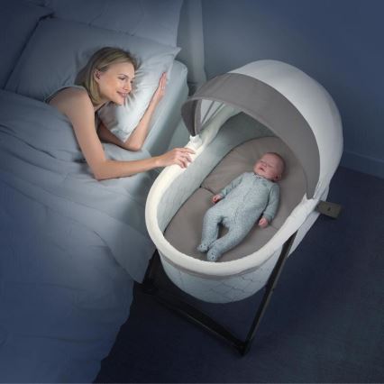 Ingenuity - Baby-Schaukelbett CARRINGTON grau/braun