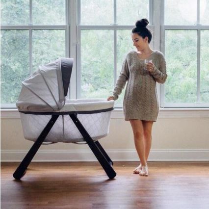 Ingenuity - Baby-Schaukelbett CARRINGTON grau/braun