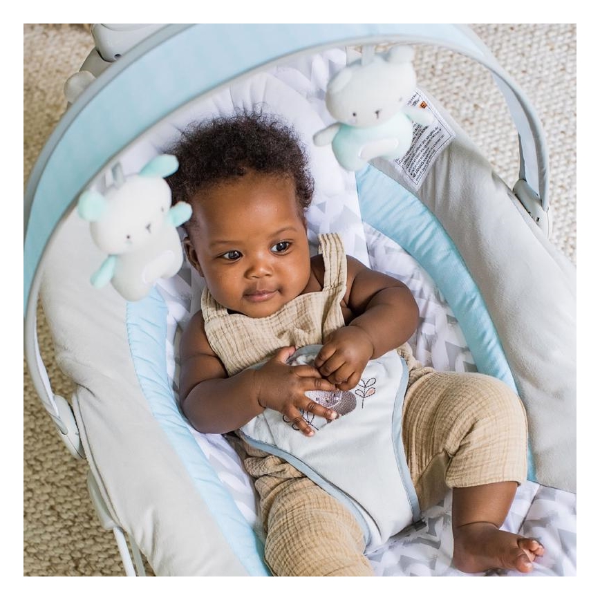 Ingenuity - Baby-Schwingwippe mit Melodie RAYLAN