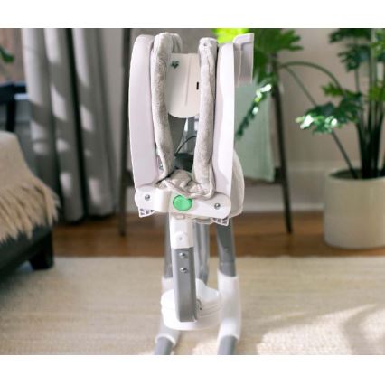 Ingenuity - Dondolo vibrante per bambini con melodia ANYWAY SWAY RAY