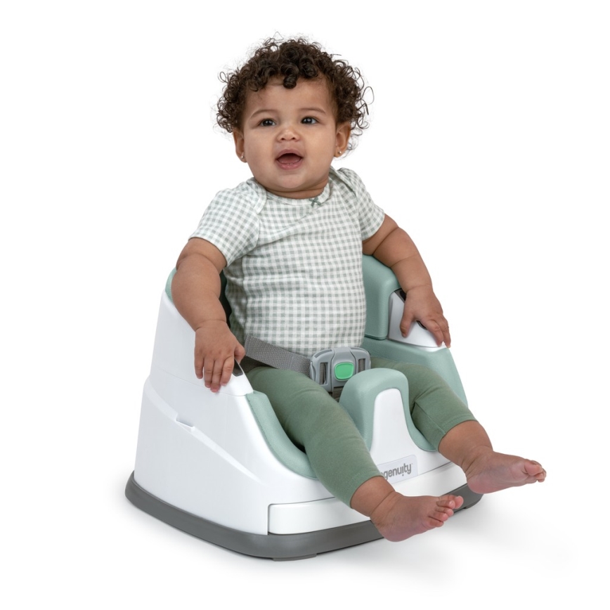Ingenuity - Sitzerhöhung 2-in-1 BABY BASE Minze