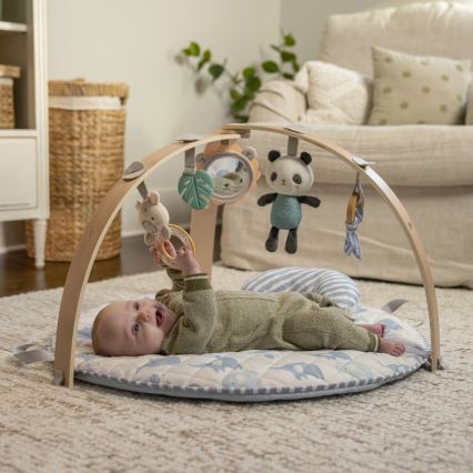 Ingenuity - Tapis d'éveil pour bébé ELEPHANT MARCH