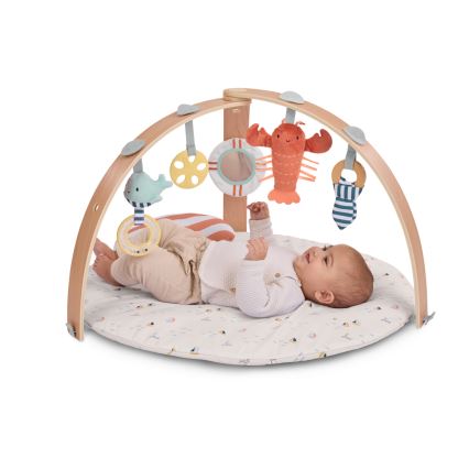 Ingenuity - Tapis d'éveil pour bébé HARBOR HEAVEN