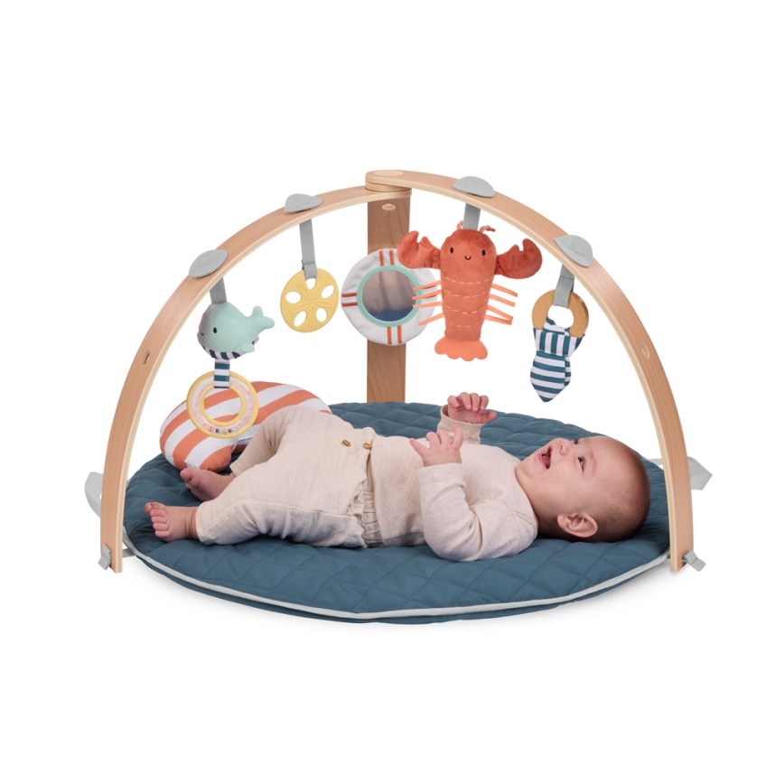 Ingenuity - Tapis d'éveil pour bébé HARBOR HEAVEN