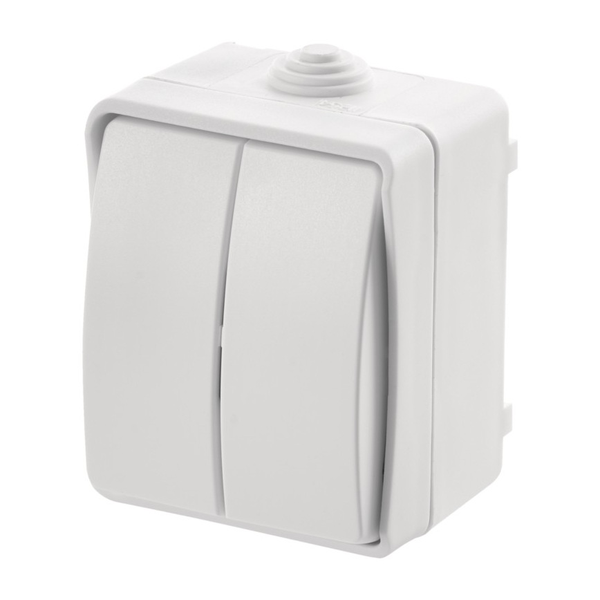 Interrupteur domestique double 250V/10A IP54