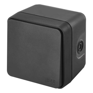 Interruttore accensione 250V/10A IP55