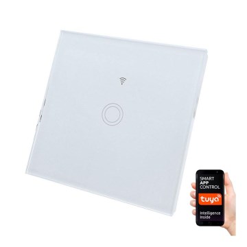 Interruttore domestico SWITCH 1000W/230V