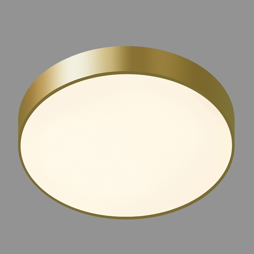 ITALUX - Plafonnier LED ORBITAL LED/30W/230V 3000K doré