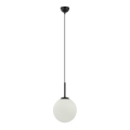 ITALUX - Lampadario a sospensione con filo DEORE 1xE27/40W/230V diametro 25 cm nero