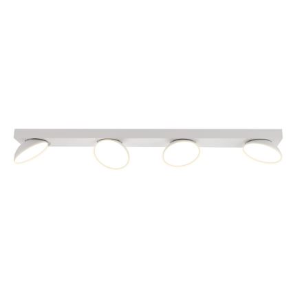 ITALUX - Spot LED CASTELIO 4xLED/5W/230V 4000K blanc