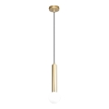 ITALUX - Suspension sur câble FILANO 1xG9/5W/230V dorée