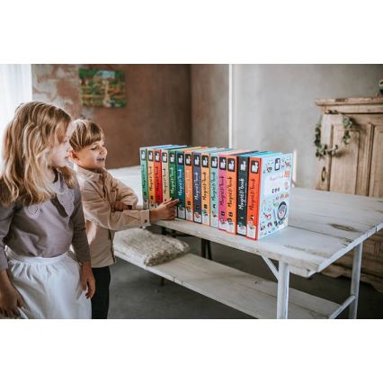 Janod - Magnetisches interaktives Set MAGNETIBOOK Verkehrsmittel